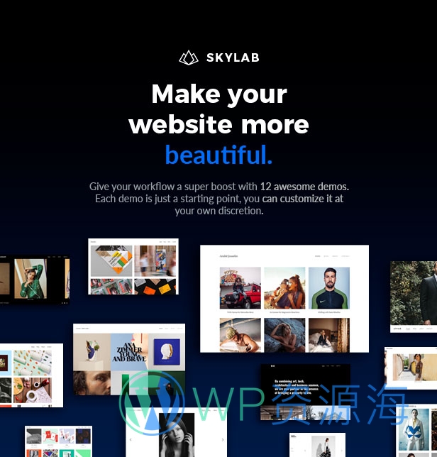 Skylab v3.6-响应式创意摄影作品集WordPress主题插图1-WP资源海