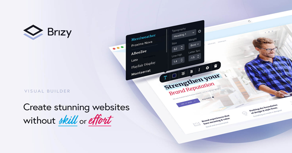 Brizy Pro-WordPress可视化页面编辑器/拖拽设计插件