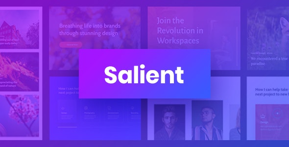 Salient v12.1.3-响应式多用途主题
