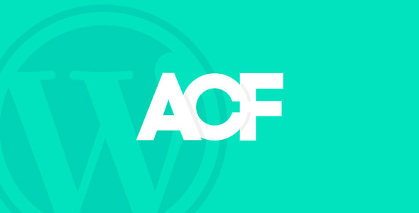 Advanced Custom Fields Pro-高级自定义字段WordPress插件