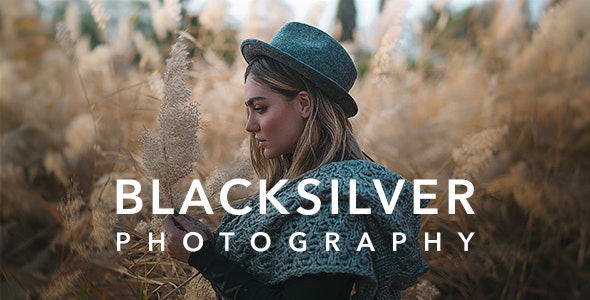 Blacksilver–专业高端摄影网站WordPress主题