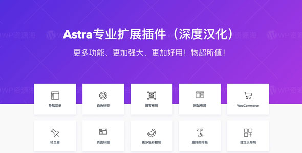 【正版】Astra Pro-Astra主题高级功能扩展插件