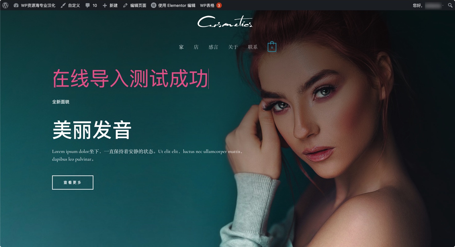 Astra Premium Starter Templates-极速建站模板库WordPress插件插图9-WP资源海 Astra Premium Starter Templates-极速建站模板库WordPress插件插图9-WP资源海