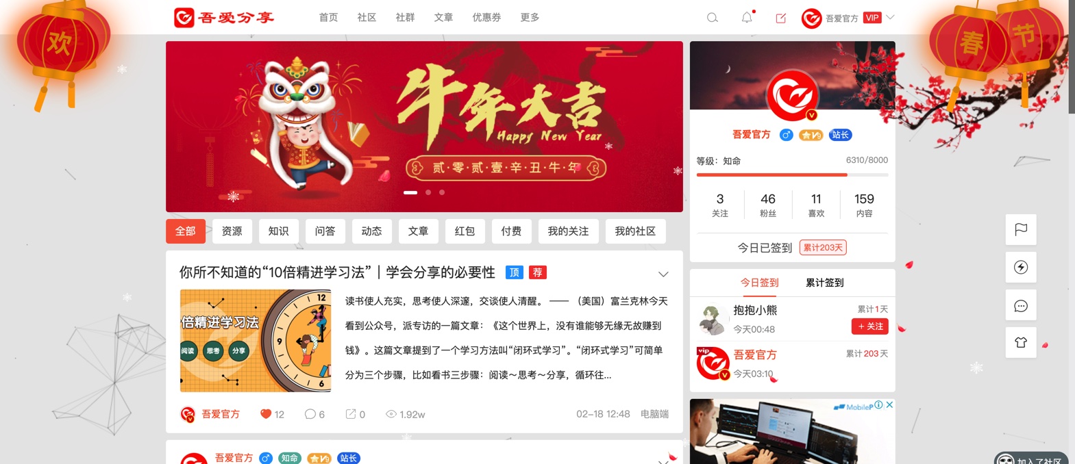 节日红灯笼-wordpress网站装饰美化插件