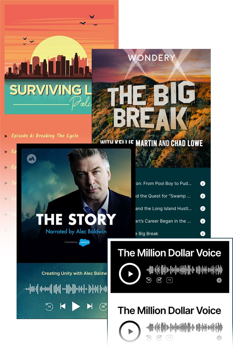 MP3 Audio Player Pro-音频/播客/音乐在线播放与出售WordPress插件插图2-WP资源海 MP3 Audio Player Pro-音频/播客/音乐在线播放与出售WordPress插件插图2-WP资源海