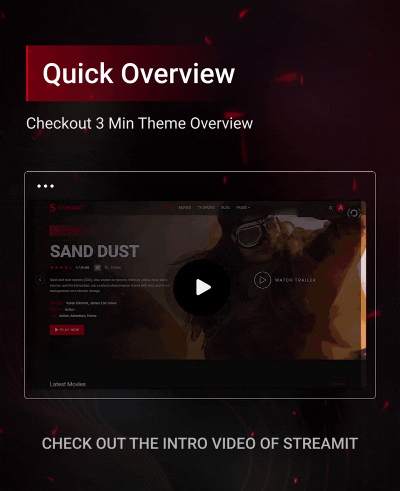 Streamit-电影视频网站模板WordPress炫酷主题插图1-WP资源海