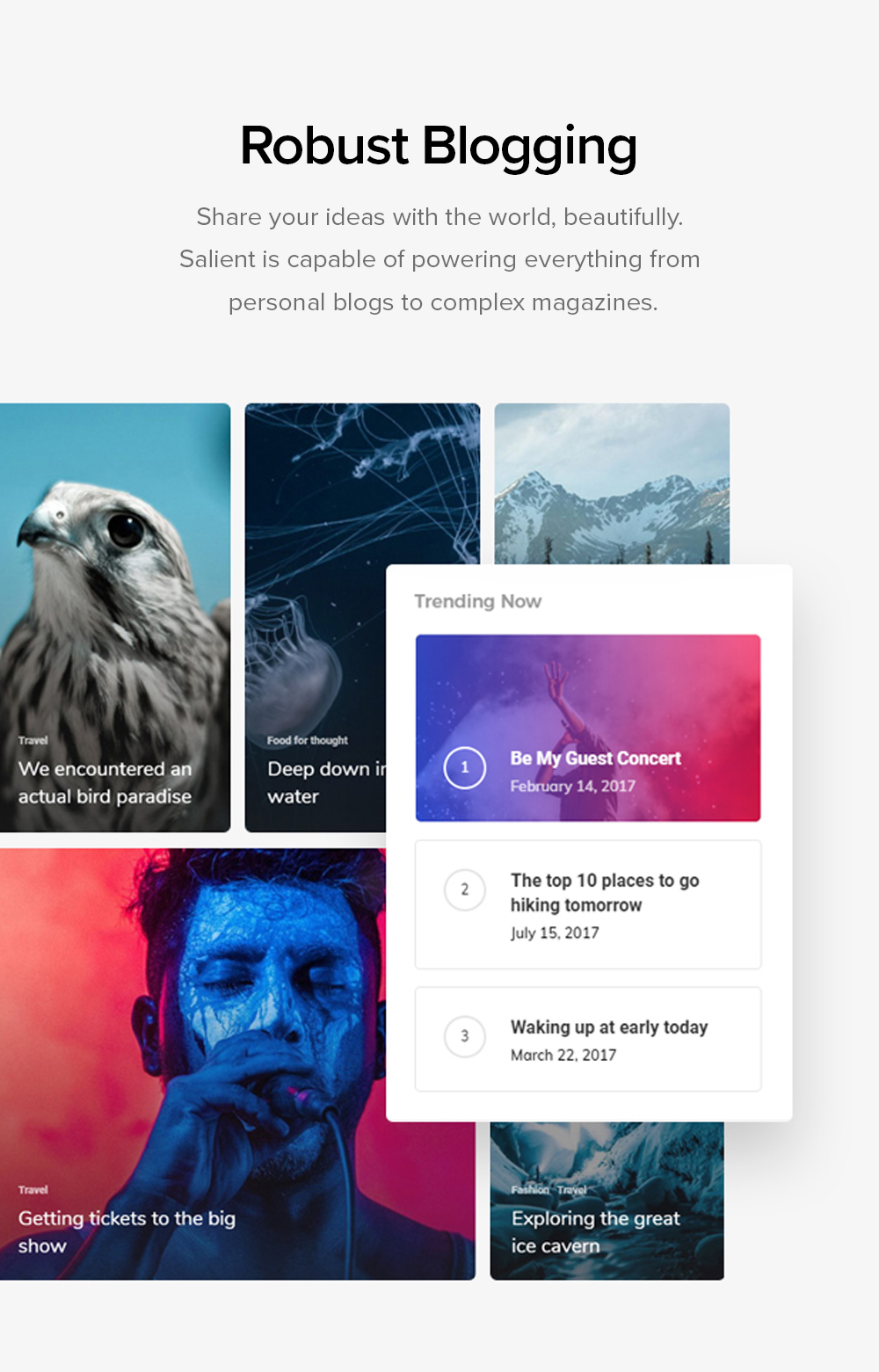 Salient-精品多用途建站模板WordPress畅销主题插图2-WP资源海 Salient-精品多用途建站模板WordPress畅销主题插图2-WP资源海