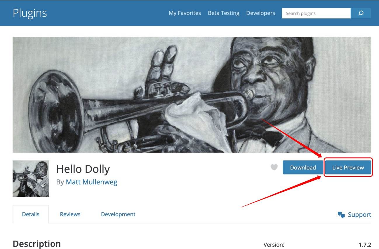 在开发者强烈反对后，WordPress 撤消了插件上的实时预览按钮