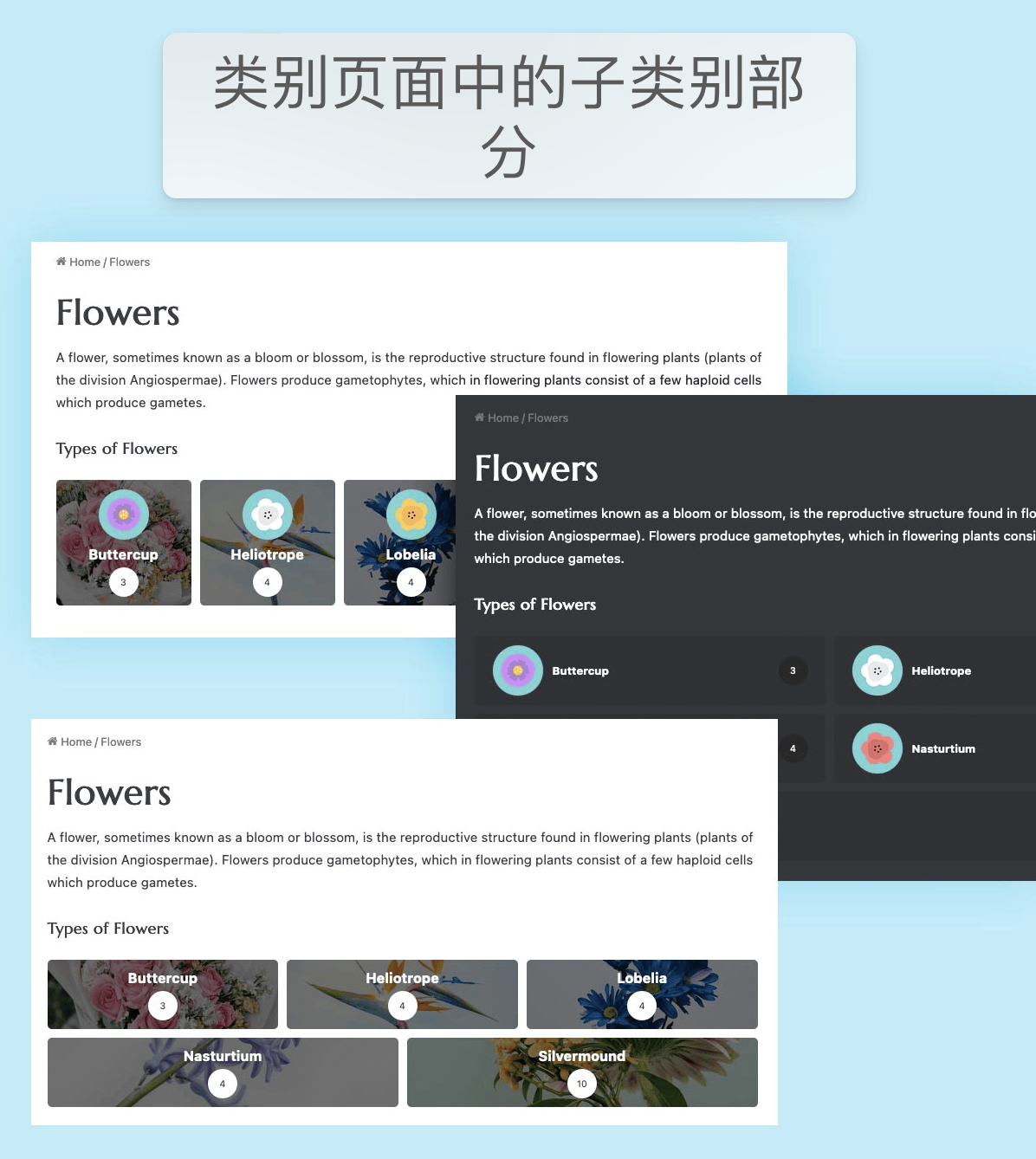 Jannah 主题 v7.0 版本重大更新插图1-WP资源海 Jannah 主题 v7.0 版本重大更新插图1-WP资源海
