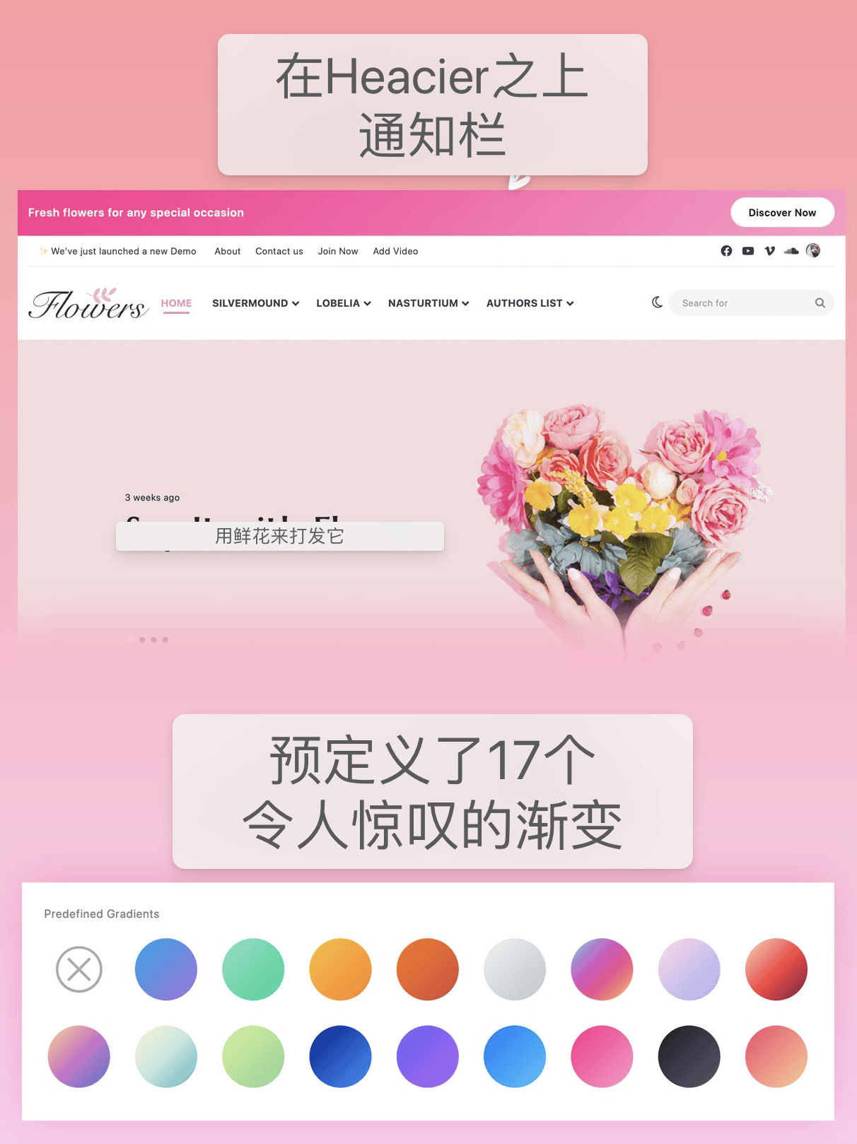 Jannah 主题 v7.0 版本重大更新插图4-WP资源海 Jannah 主题 v7.0 版本重大更新插图4-WP资源海