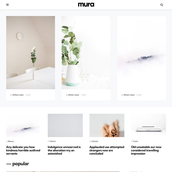 Mura-自媒体/内容创作网站模板WordPress主题插图14-WP资源海 Mura-自媒体/内容创作网站模板WordPress主题插图14-WP资源海