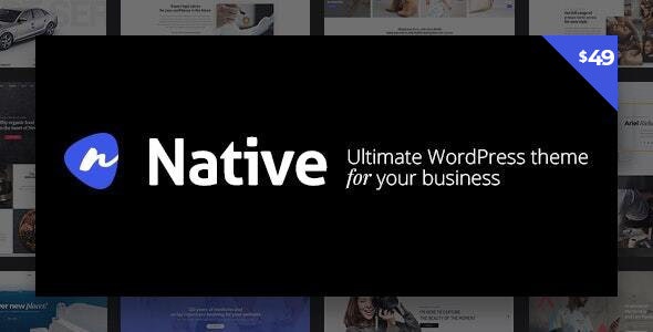 Native-简约时尚多用途WordPress创意主题