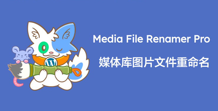 Media File Renamer Pro-图片与媒体库文件批量重命名WordPress插件