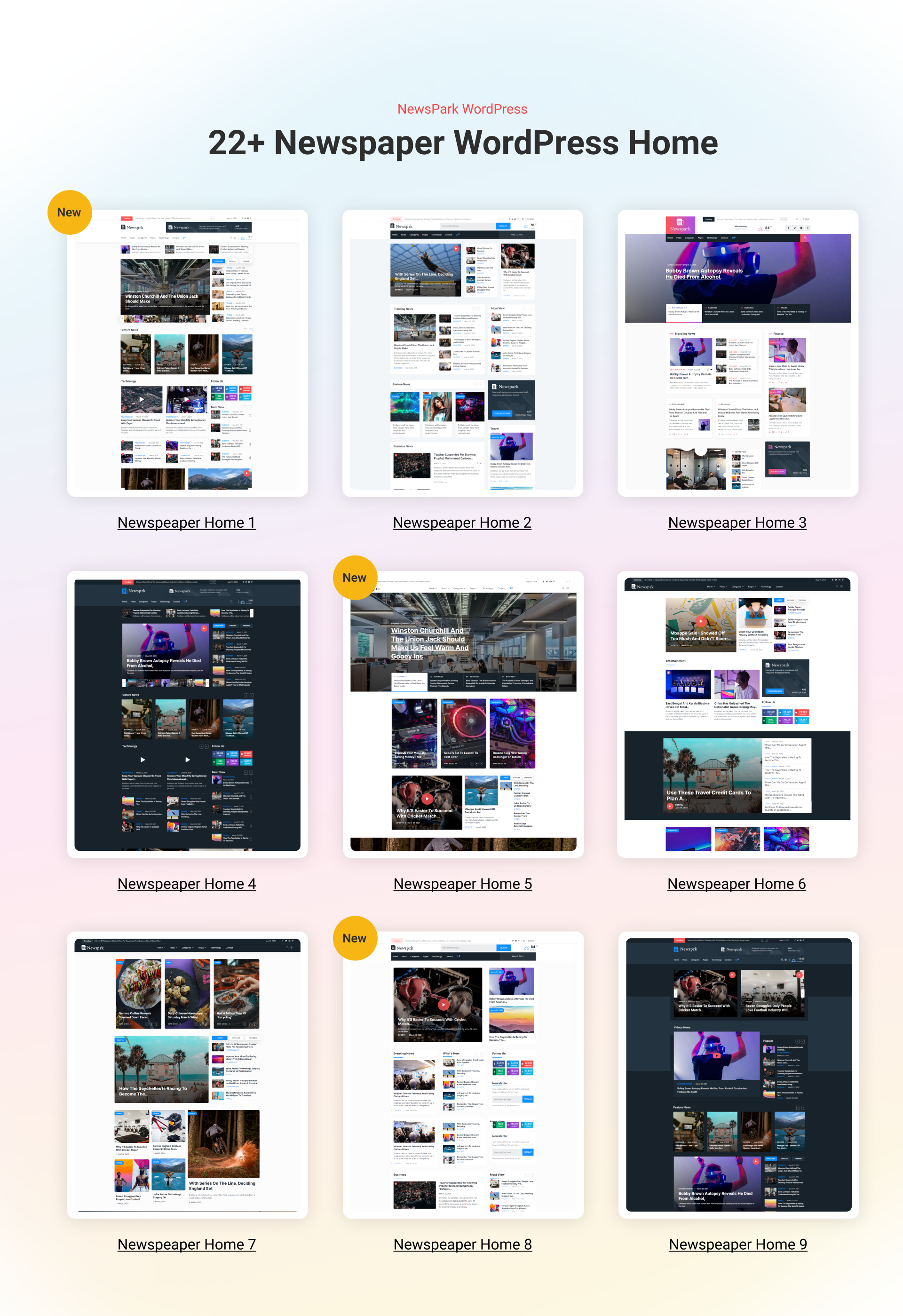 Newsprk-新闻博客网站模板WordPress精品主题插图2-WP资源海 Newsprk-新闻博客网站模板WordPress精品主题插图2-WP资源海