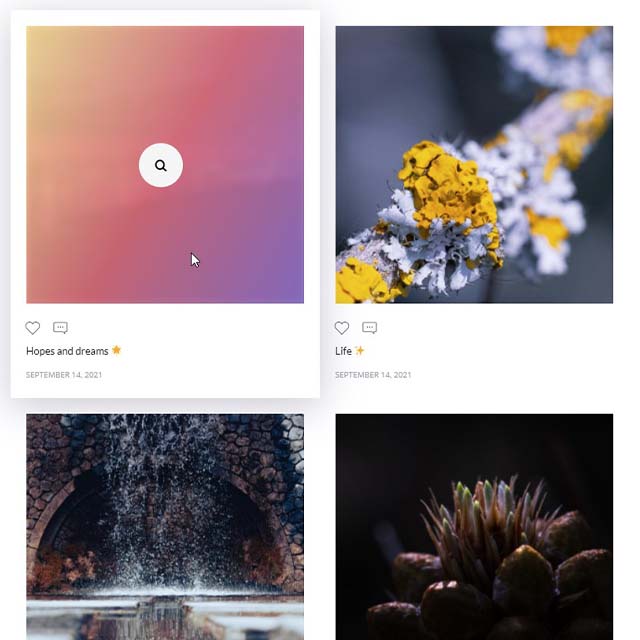 Essential Grid Gallery-网格图片图库相册画廊WordPress插件插图37-WP资源海 Essential Grid Gallery-网格图片图库相册画廊WordPress插件插图37-WP资源海