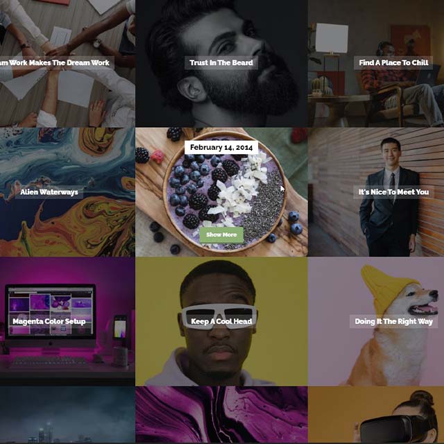 Essential Grid Gallery-网格图片图库相册画廊WordPress插件插图33-WP资源海 Essential Grid Gallery-网格图片图库相册画廊WordPress插件插图33-WP资源海