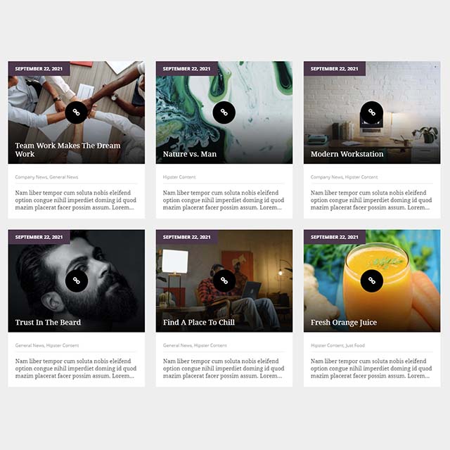 Essential Grid Gallery-网格图片图库相册画廊WordPress插件插图39-WP资源海 Essential Grid Gallery-网格图片图库相册画廊WordPress插件插图39-WP资源海