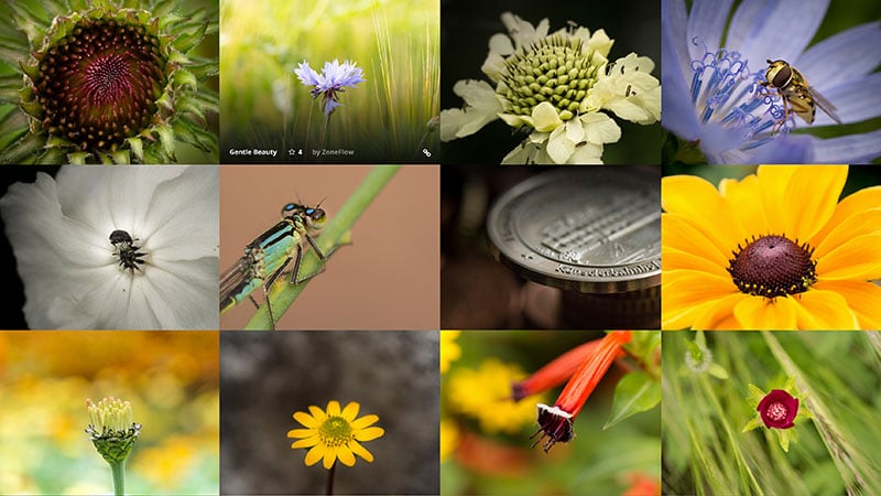 Essential Grid Gallery-网格图片图库相册画廊WordPress插件插图49-WP资源海 Essential Grid Gallery-网格图片图库相册画廊WordPress插件插图49-WP资源海