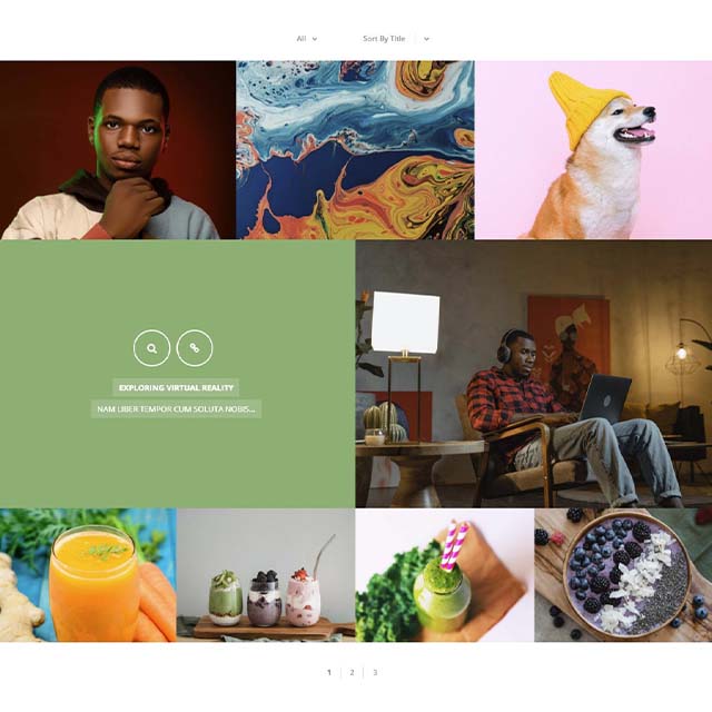 Essential Grid Gallery-网格图片图库相册画廊WordPress插件插图47-WP资源海 Essential Grid Gallery-网格图片图库相册画廊WordPress插件插图47-WP资源海
