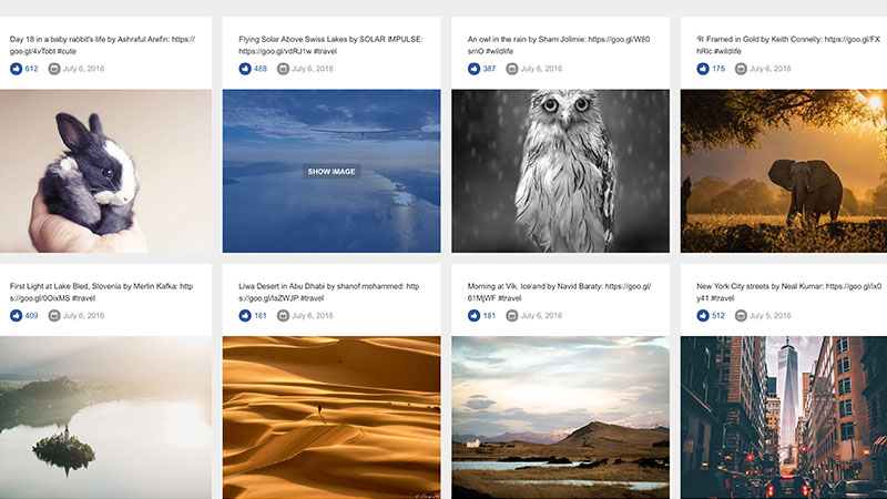 Essential Grid Gallery-网格图片图库相册画廊WordPress插件插图59-WP资源海 Essential Grid Gallery-网格图片图库相册画廊WordPress插件插图59-WP资源海