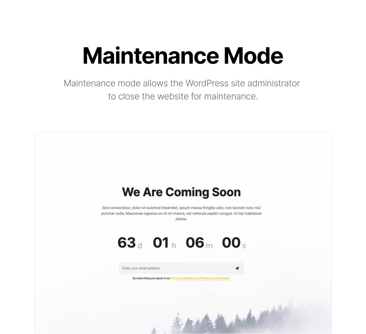 Blonwe-多用途跨境电商网站模板WordPress主题插图16-WP资源海 Blonwe-多用途跨境电商网站模板WordPress主题插图16-WP资源海