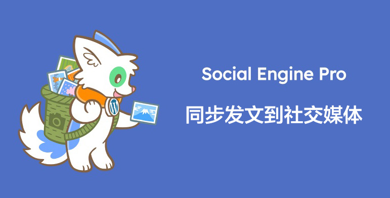 Social Engine Pro-社交媒体平台同步发文WordPress插件插图-WP资源海 Social Engine Pro-社交媒体平台同步发文WordPress插件插图-WP资源海
