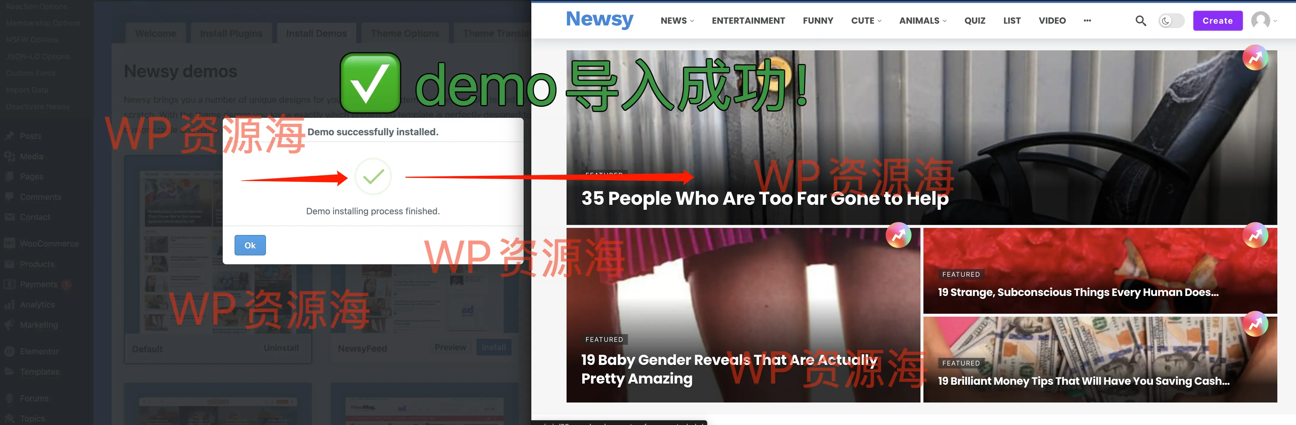 Newsy-新闻博客自媒体网站WordPress主题插图1-WP资源海 Newsy-新闻博客自媒体网站WordPress主题插图1-WP资源海