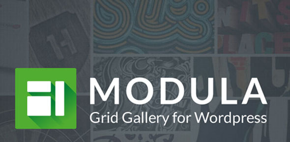 Modula Pro-文章图片灯箱展示与优化WordPress插件