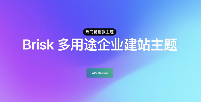 Brisk-多用途企业建站模板WordPress主题