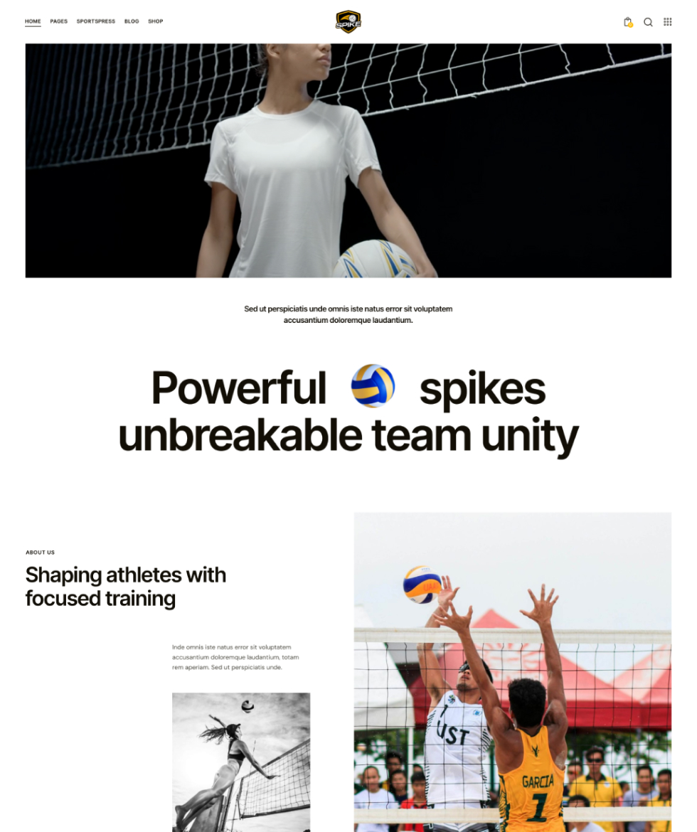 Spike-多功能排球网站模板WordPress主题插图3-WP资源海 Spike-多功能排球网站模板WordPress主题插图3-WP资源海