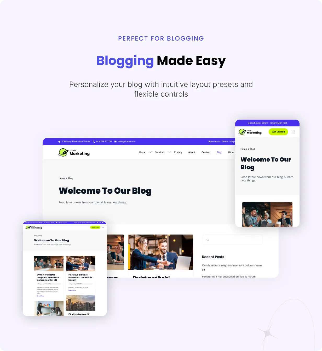 Lunax-网络营销与SEO优化网站模板WordPress主题插图3-WP资源海