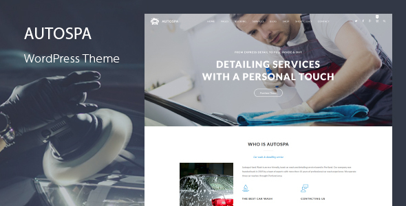 Auto Spa 汽车美容洗车保养服务 WordPress 主题插图-WP资源海 Auto Spa 洗车 WordPress 主题