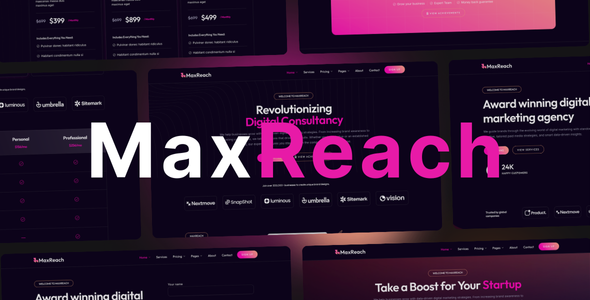MaxReach SEO 与数字营销 WordPress 主题插图-WP资源海 MaxReach SEO 与数字营销 WordPress 主题