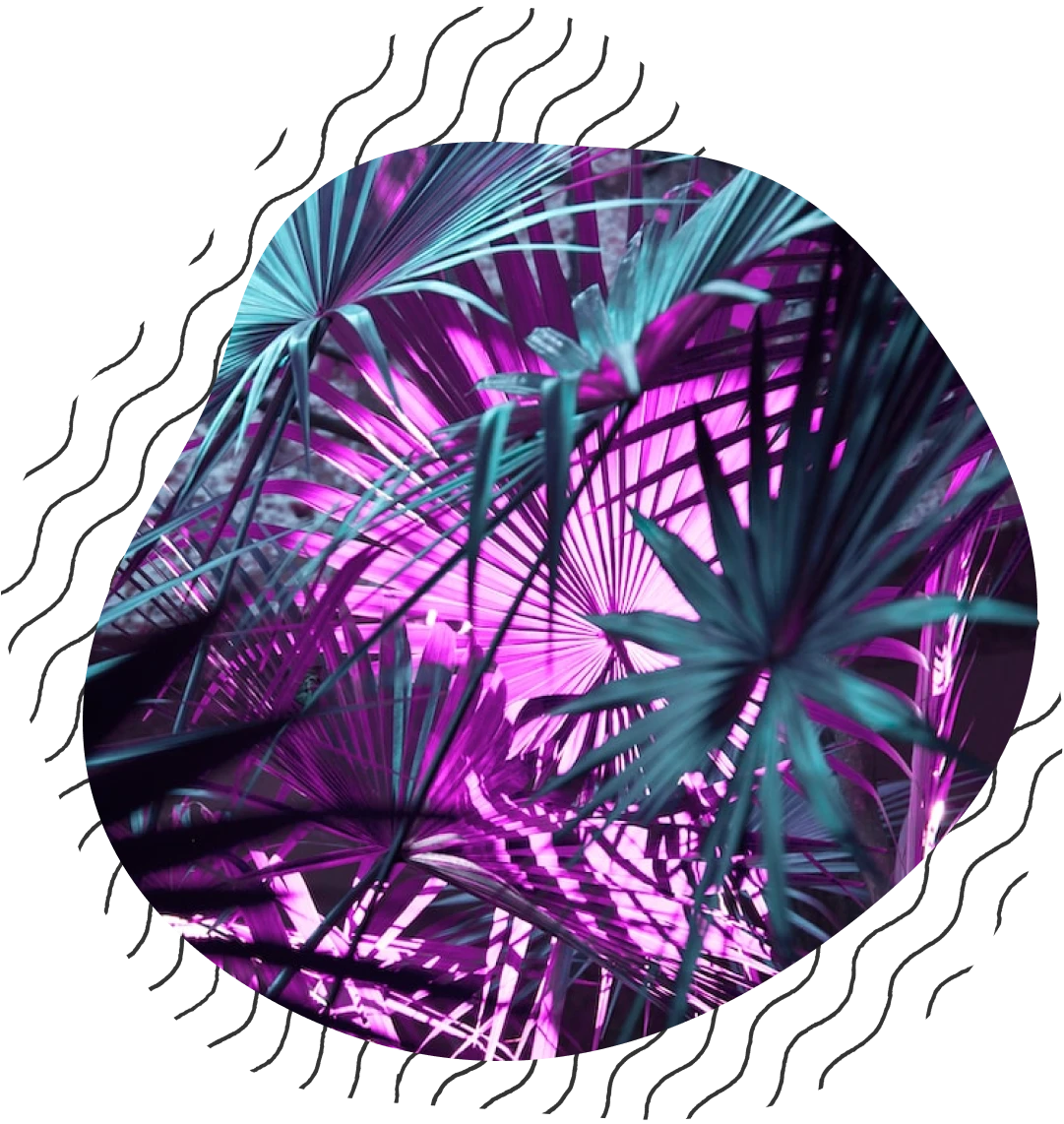 Gravity Forms Collapsible Sections 分段折叠与区间控制 WordPress 插件插图-WP资源海 Gravity Forms Collapsible Sections 分段折叠与区间控制 WordPress 插件