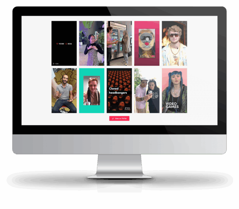 TikTok Feed Pro：展示 TikTok 视频 WordPress 插件
