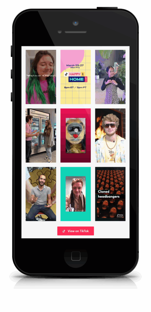 TikTok Feed Pro:展示 TikTok 视频 WordPress 插件插图2-WP资源海 TikTok Feed Pro:展示 TikTok 视频 WordPress 插件