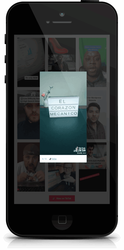 TikTok Feed Pro:展示 TikTok 视频 WordPress 插件插图3-WP资源海 TikTok Feed Pro:展示 TikTok 视频 WordPress 插件