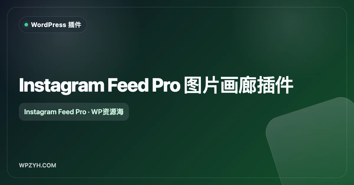 Instagram Feed Pro 图片画廊插件