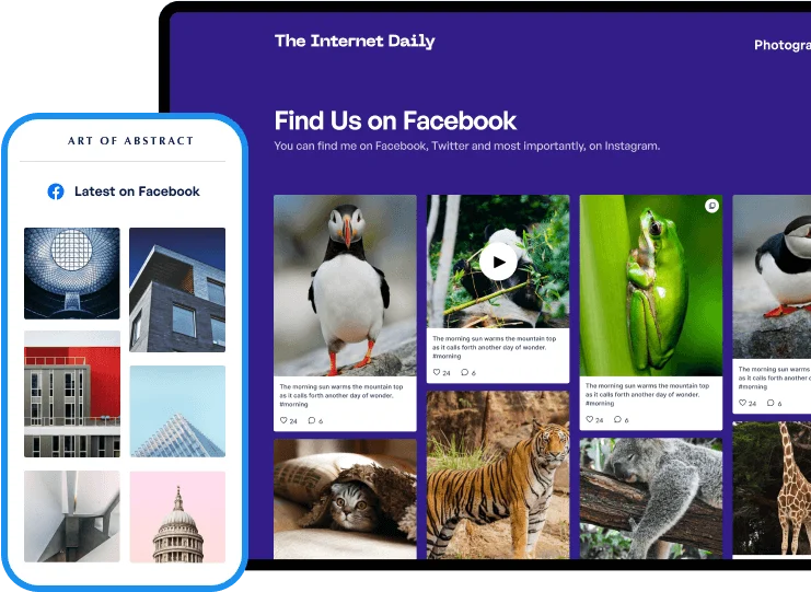 Custom Facebook Feed 动态内容嵌入 WordPress 插件插图-WP资源海 Completely customisable
