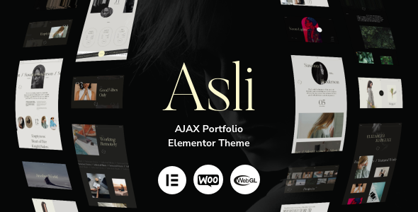 Asli 创意作品集展示 WordPress 主题