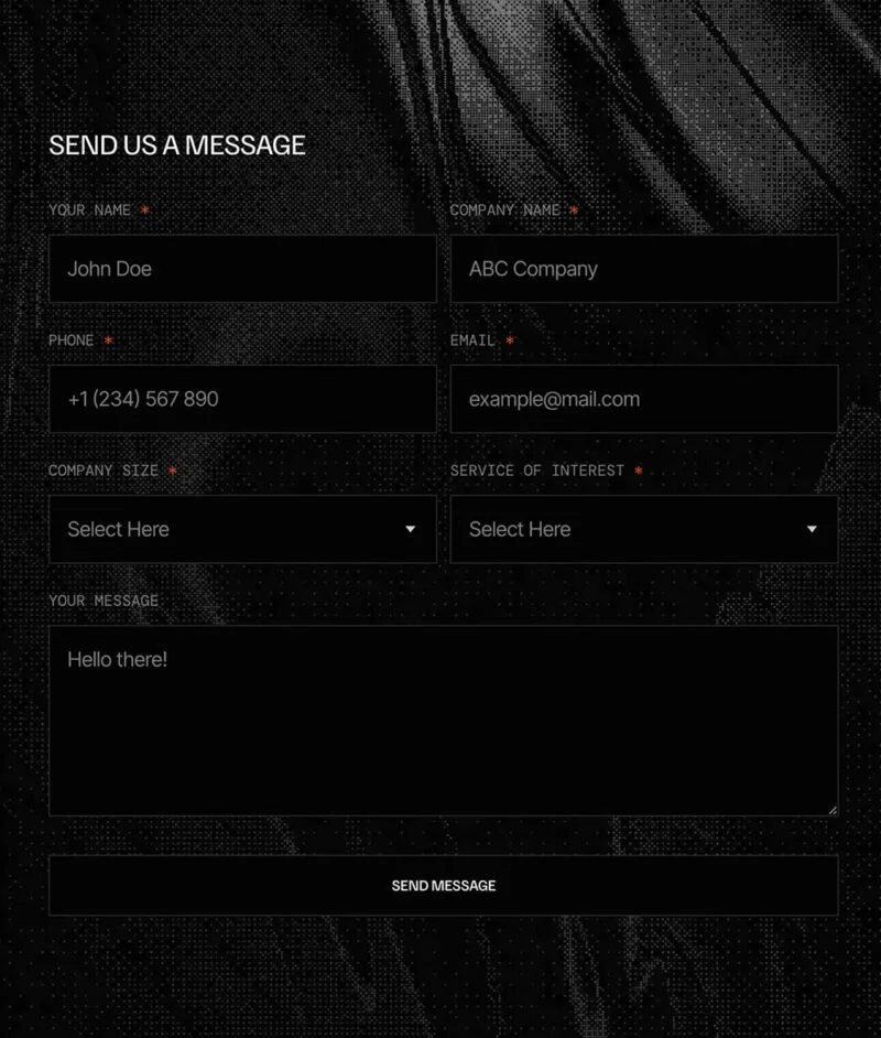 健康生活教练Elementor网站模板_一键导入快速建站插图7-WP资源海 服务/咨询 Elementor 模板联系表单预览