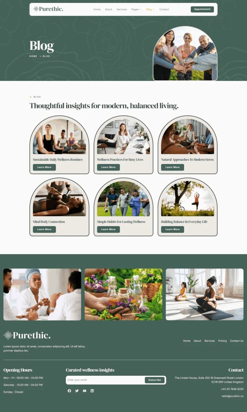 健康/医药 Elementor 模板博客页面预览