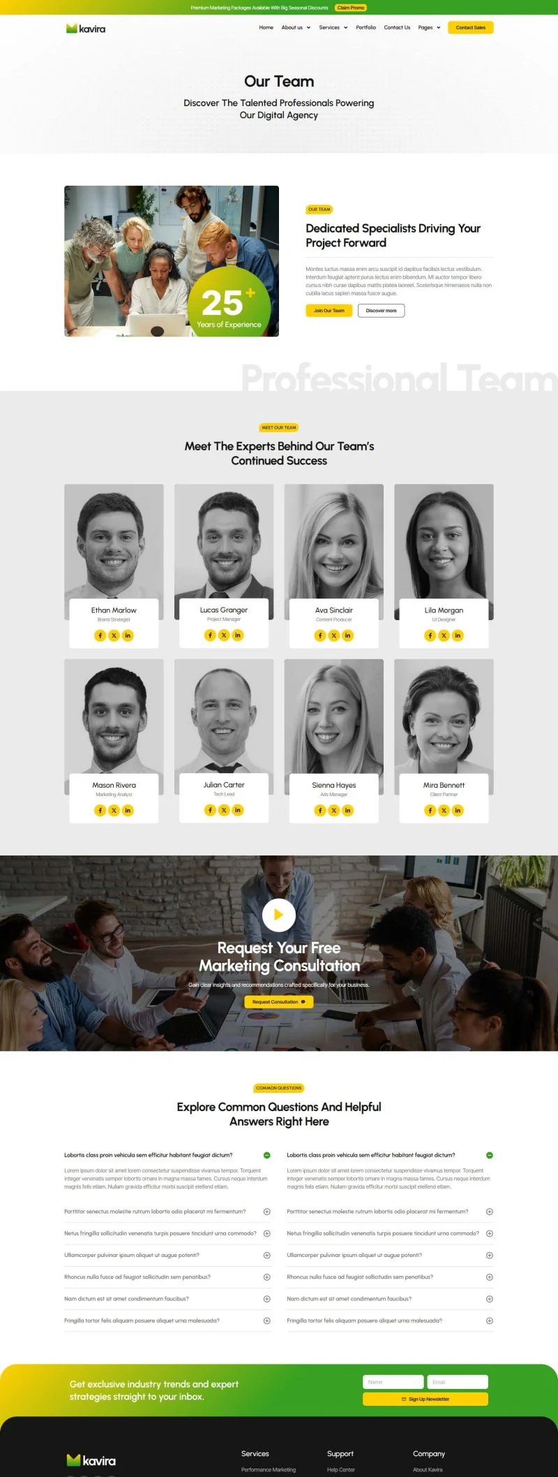 广告/营销 Elementor 模板团队页面预览