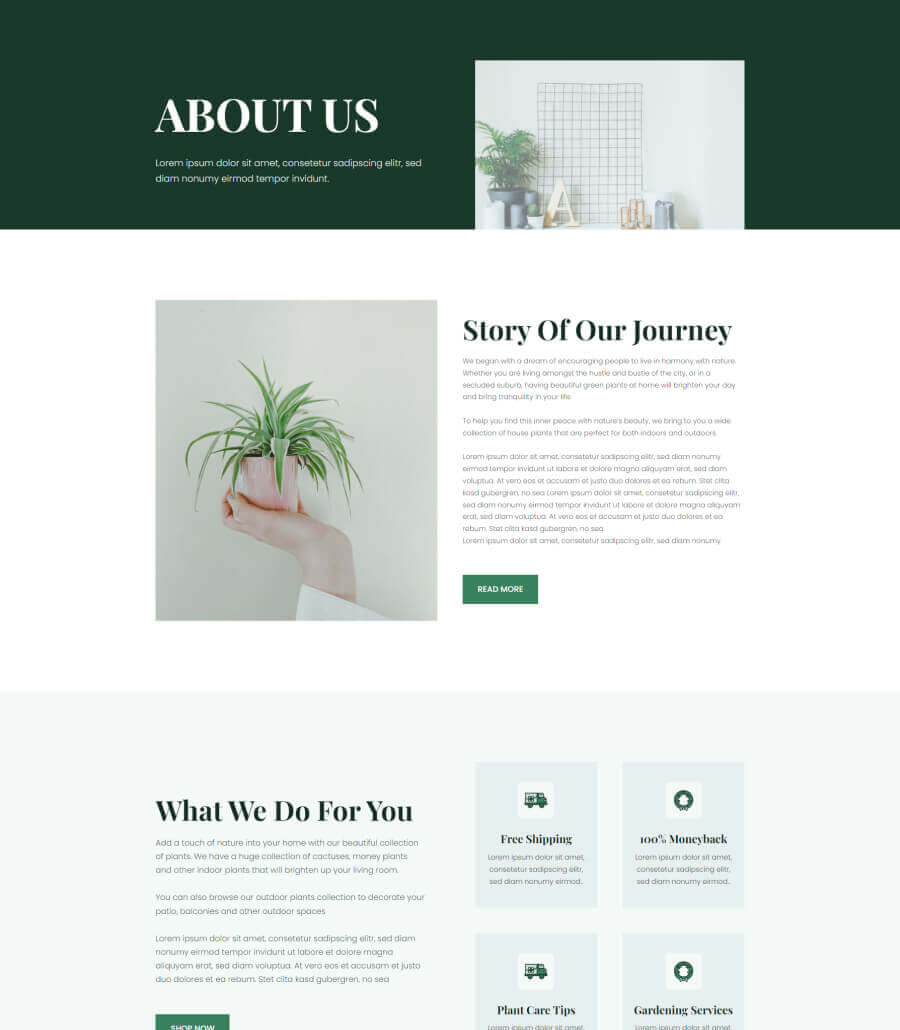 植物商店Gutenberg网站模板_一键导入快速建站插图2-WP资源海 Greenzone About Page For Gutenberg