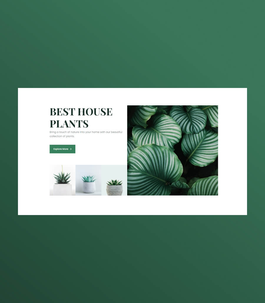植物商店Gutenberg网站模板_一键导入快速建站插图4-WP资源海 Greenzone Hero Section For Gutenberg