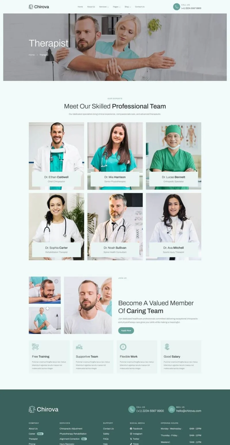 健康/医药 Elementor 模板治疗师团队预览