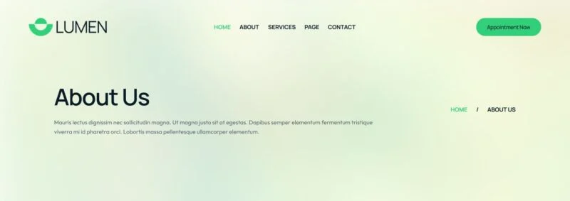 健康/医药 Elementor 模板页眉预览