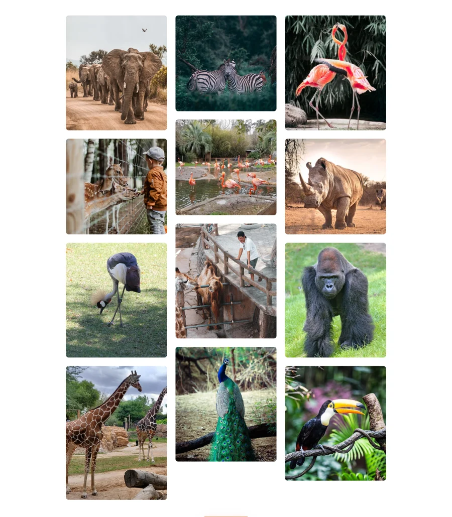 Zoo Park Gallery Section