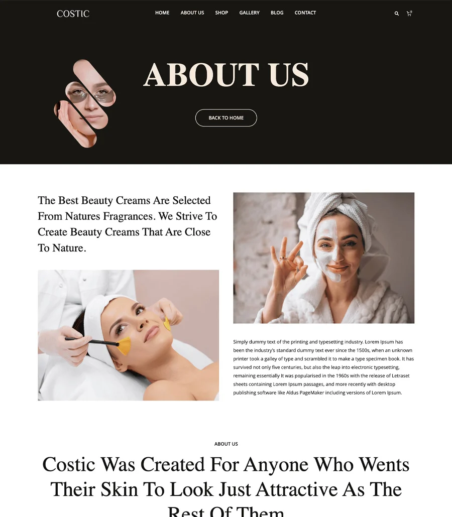 Costic About Page For Gutenberg
