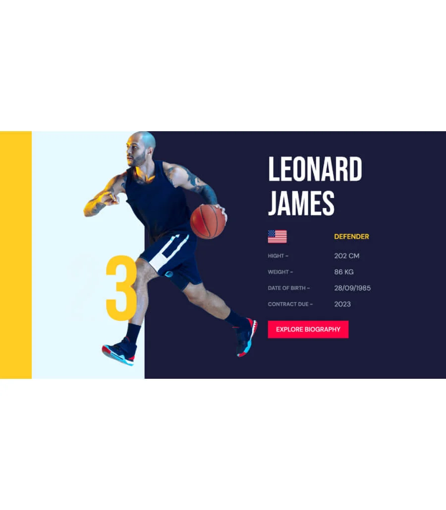 Blazers Players Profile Section For Gutenberg